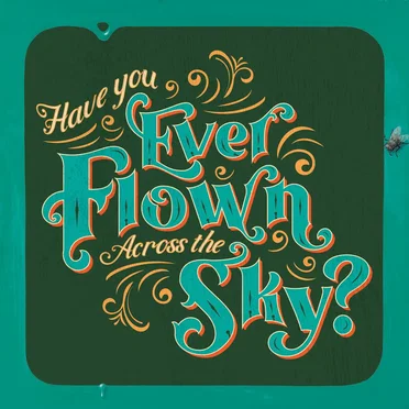Have You Ever Flown Across the Sky?