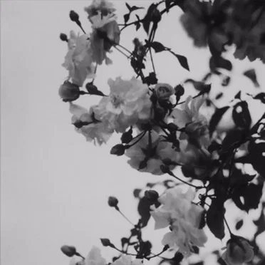 i tried to love you