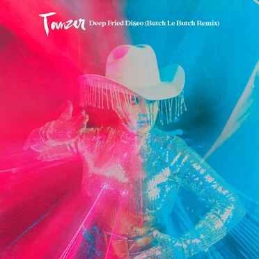 Deep Fried Disco (Butch le Butch Automatic Disco Remix)