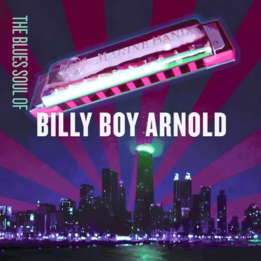 The Blues Soul of Billy Boy Arnold