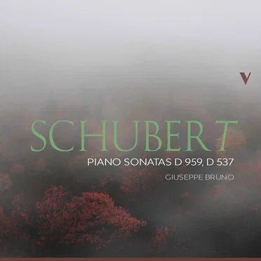 Piano Sonatas D 959, D 537