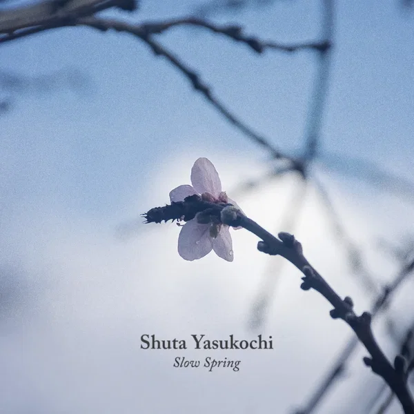 Slow Spring