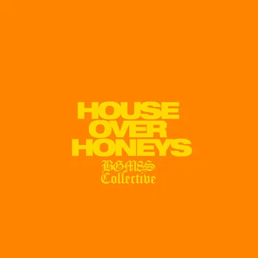 House Over Honeys by Various Artists - album cover