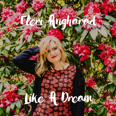 Like a Dream