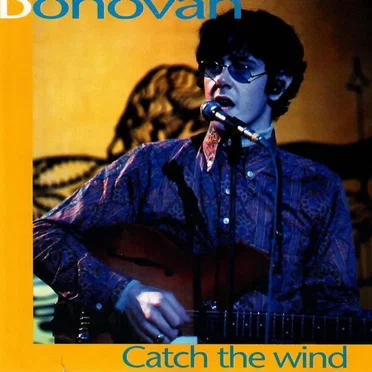 Catch the Wind
