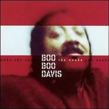 The Snake by Boo Boo Davis - album cover