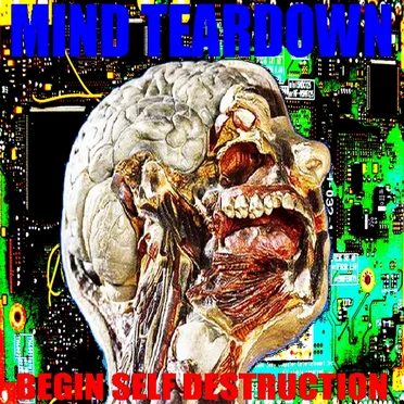 Begin Self Destruction by Mind Teardown - album cover