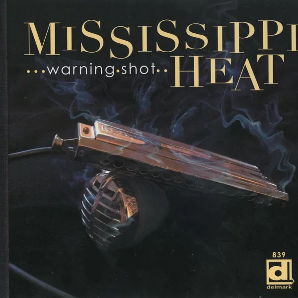Warning Shot