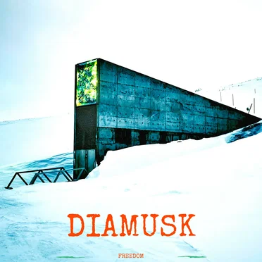 Freedom by Diamusk - album cover