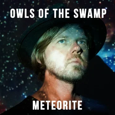 Meteorite by Owls of the Swamp - album cover