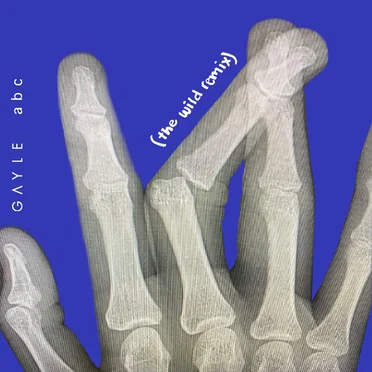 abc (The Wild remix)