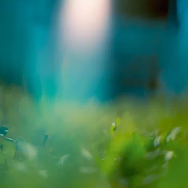 illumination