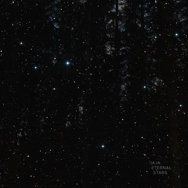 Eternal stars