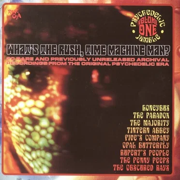 Psychedelic Jumble Volume One: What's the Rush, Time Machine Man? by Various Artists - album cover