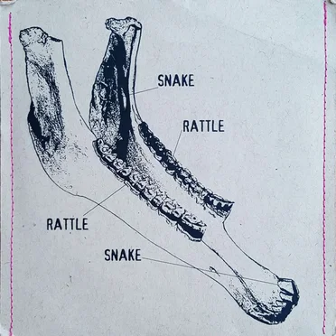 Snake Rattle Rattle Snake by Snake Rattle Rattle Snake - album cover