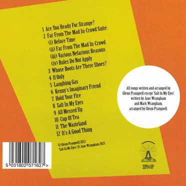 Make It Sound Like An Accident by Groovy Uncle - album cover