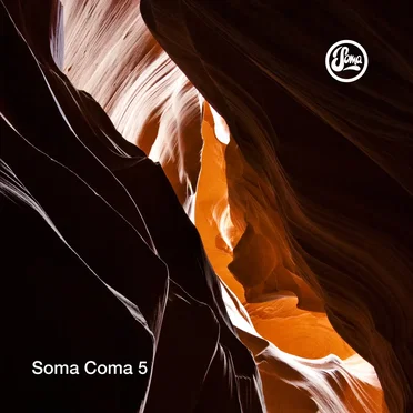Soma Coma 5 by Various Artists - album cover