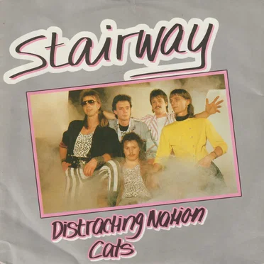 Distracting Nation / Cats