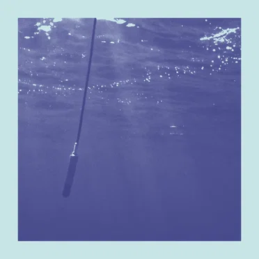 La Baleine et Le Musicien (Edit)