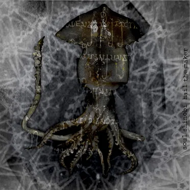 Hail The Maker by Soul Shinobi - album cover