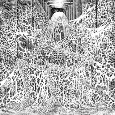 Awaiting Rebirth
