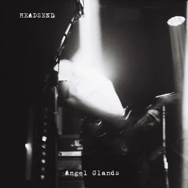 Angel Glands by HEADSEND - album cover