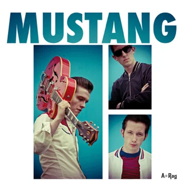Le Pantalon by Mustang - album cover