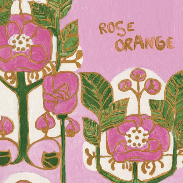 Rose orange