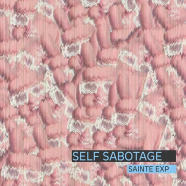 Self Sabotage