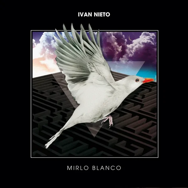Mirlo blanco