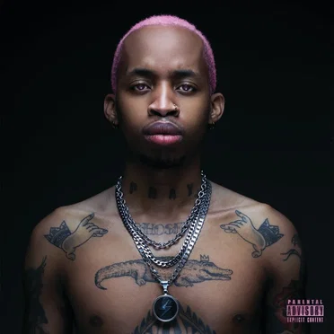 Pink Panther by Tshego - album cover