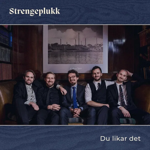Du likar det