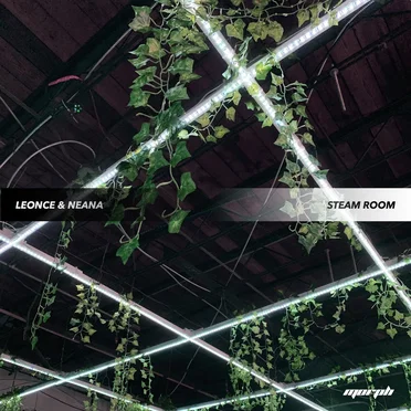 Steam Room