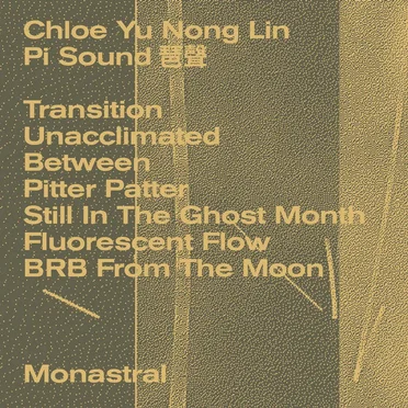 Pi Sound 琶聲 by Chloe Yu Nong Lin - album cover
