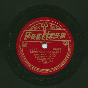 Demetrio González / Selvas negras