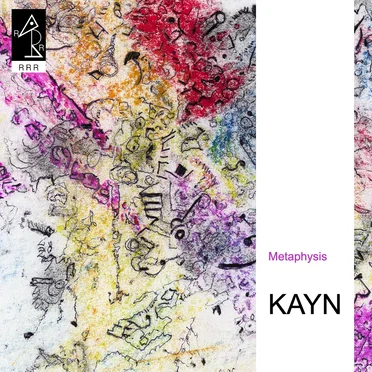 Metaphysis by Roland Kayn - album cover