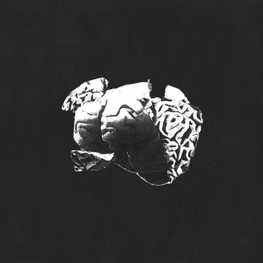 Truth You Seek by A Thousand Mad Things - album cover