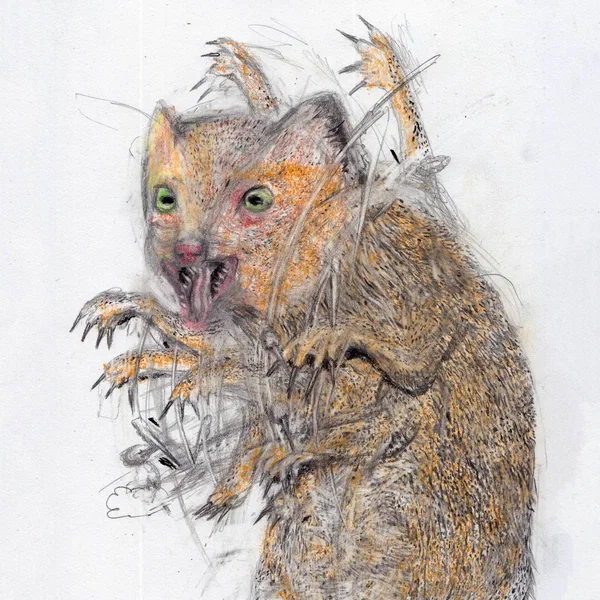 Mongoose