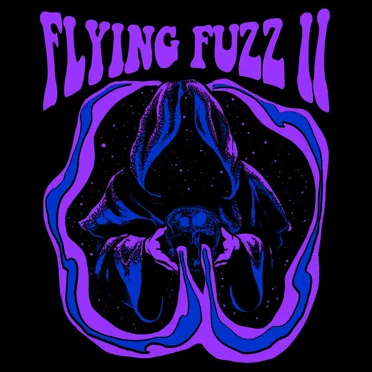 Flying Fuzz II by Flying Fuzz - album cover
