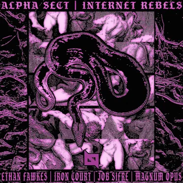 Internet Rebels