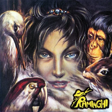 ...Il Lungo Cammino Dei Raminghi by Raminghi - album cover