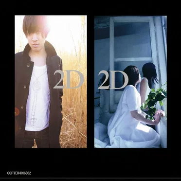2D2D