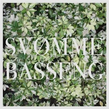 Frankrike by Svømmebasseng - album cover