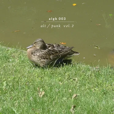 Alt/Punk, Vol. 2 by Various Artists - album cover