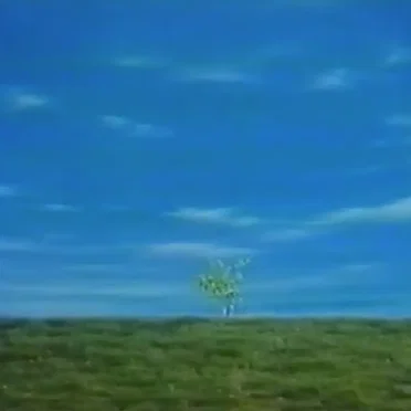 det ensamma trädet