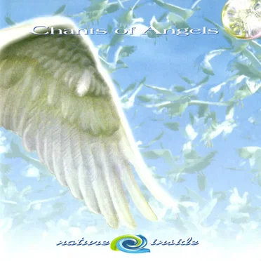 Chants of Angels by The Green Machine - album cover