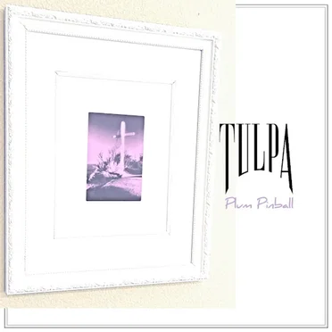 Plum Pinball by TULPA - album cover