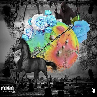 Darkhorse by Destroy Lonely - album cover
