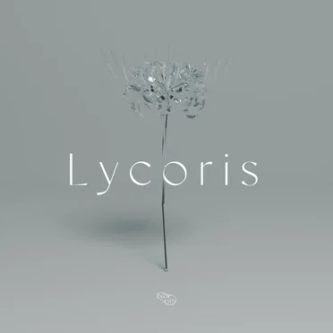 Lycoris