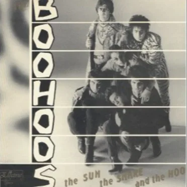 The Sun the Snake and the Hoo by Boohoos - album cover